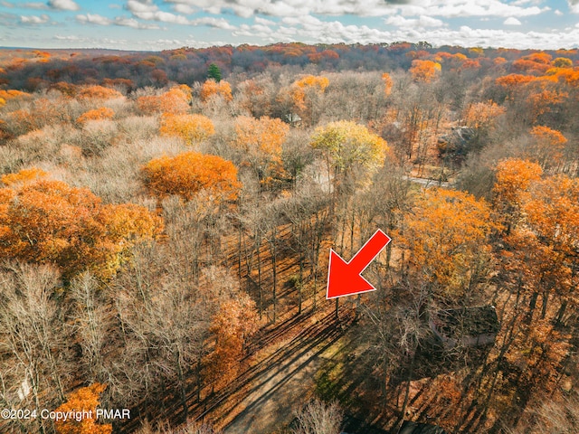 256 Owassa Dr, Pocono Lake, PA 18347