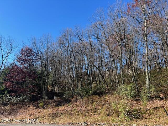 Listing photo 3 for 2235LOT Camelback Dr, Tannersville PA 18372