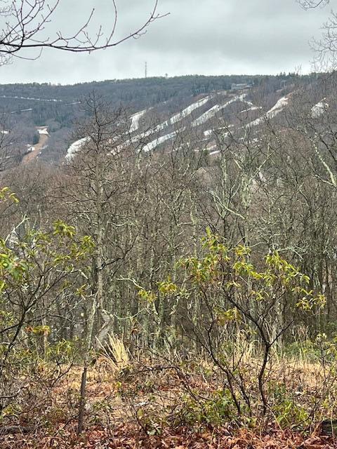 2235LOT Camelback Dr, Tannersville, PA 18372 - photo 3