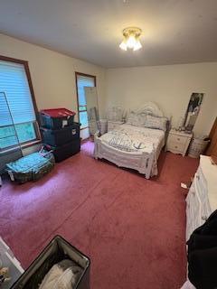 60 Arbutus Ln, East Stroudsburg, PA 18302 - view of carpeted bedroom