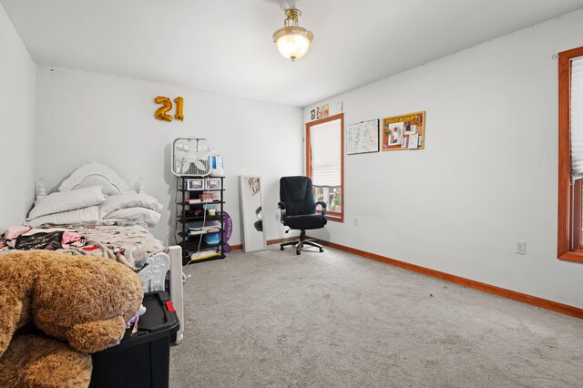60 Arbutus Ln, East Stroudsburg, PA 18302 - carpeted bedroom with baseboards