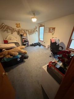 60 Arbutus Ln, East Stroudsburg, PA 18302 - living room featuring plenty of natural light and carpet flooring