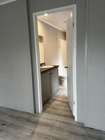 132 Spruce St, Greentown, PA 18426 - hall featuring crown molding, light wood-style floors, and a sink