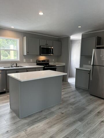 132 Spruce St, Greentown, PA 18426 - kitchen featuring appliances with stainless steel finishes, gray cabinetry, a sink, a center island, and light countertops