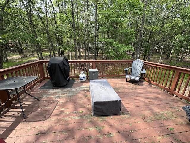 119 Antler Trl, Albrightsville, PA 18210 - photo 31