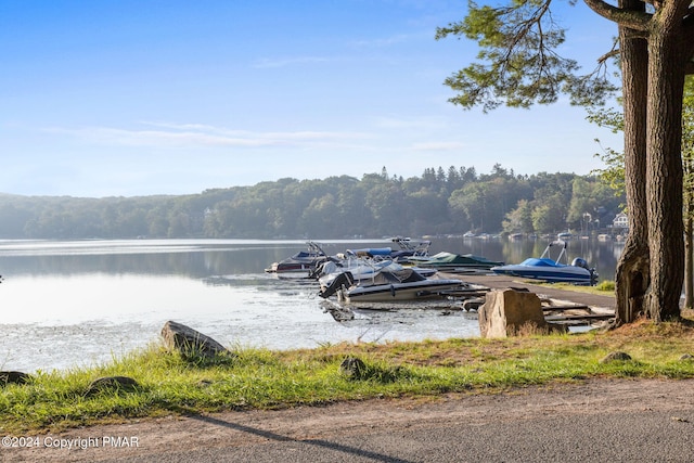 145 Telemark, Lake Harmony, PA 18624 - photo 43