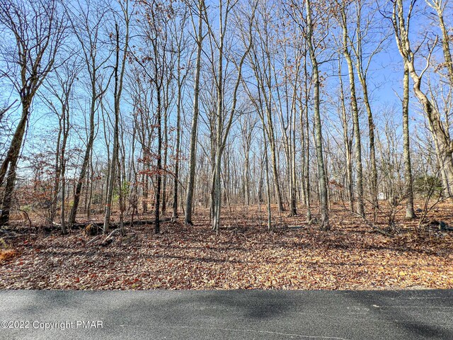 207 Cathleen Dr, East Stroudsburg, PA 18302