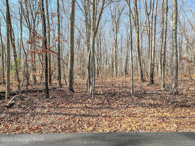 207 Cathleen Dr, East Stroudsburg, PA 18302