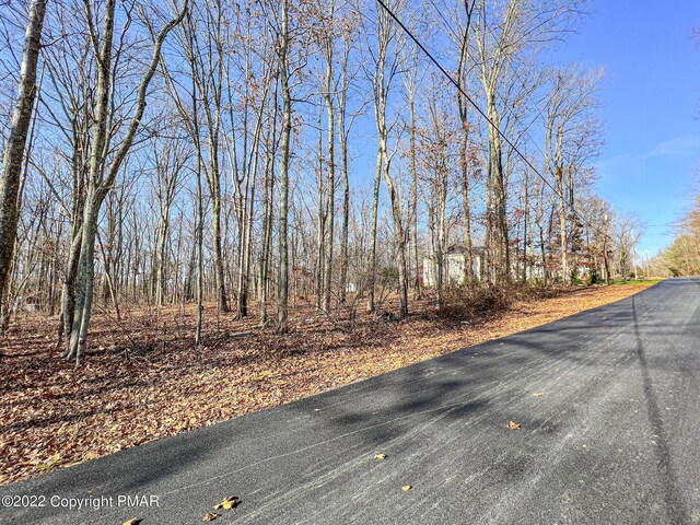 207 Cathleen Dr, East Stroudsburg, PA 18302
