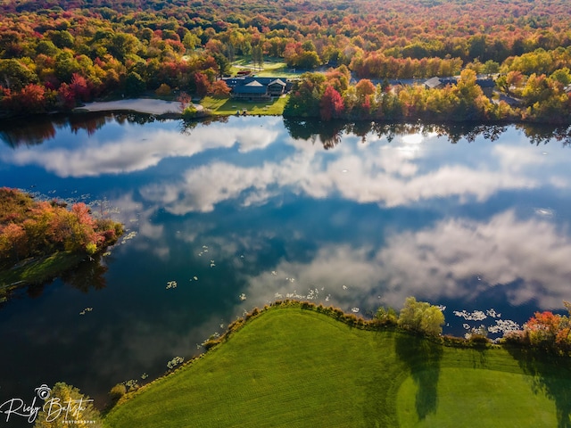 drone / aerial view featuring a wooded view and a water view