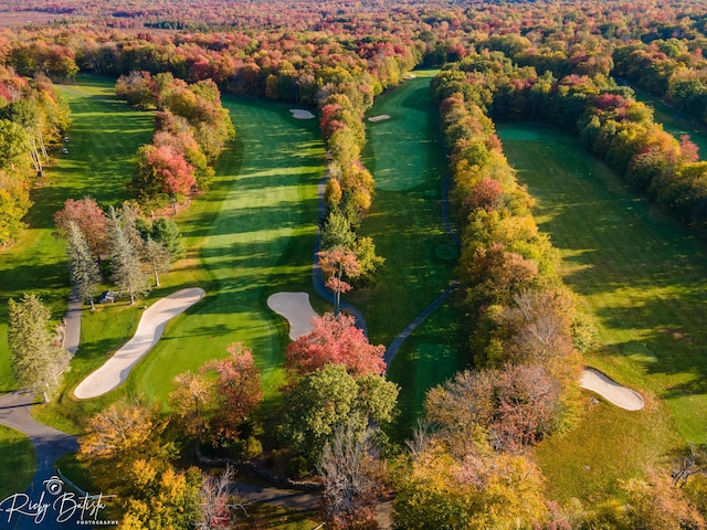 aerial view featuring a wooded view