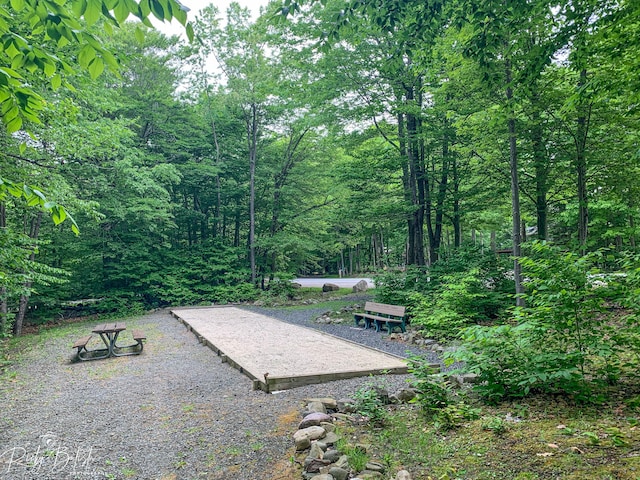 view of yard featuring a view of trees
