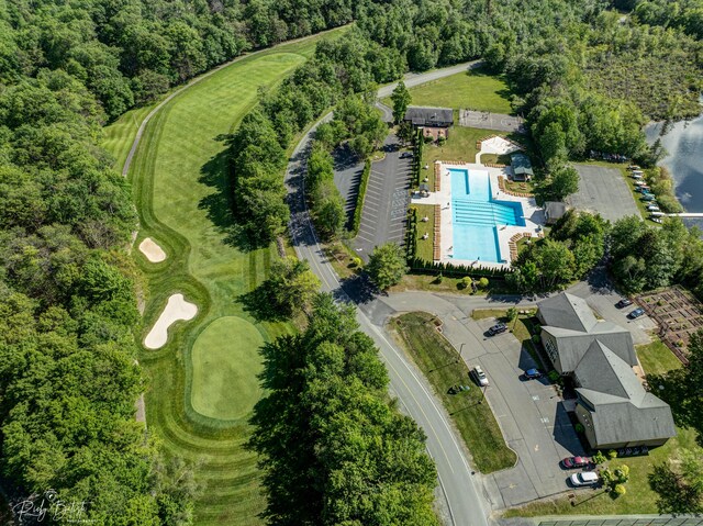 drone / aerial view