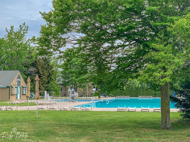 community pool with a lawn