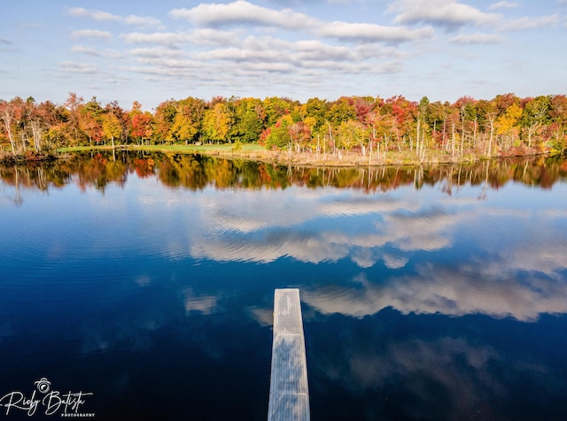 property view of water featuring a forest view and a dock