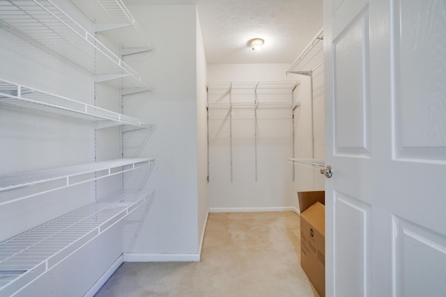 walk in closet featuring light carpet