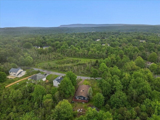 725 Clearview Dr, Long Pond, PA 18334 - bird's eye view of a forest