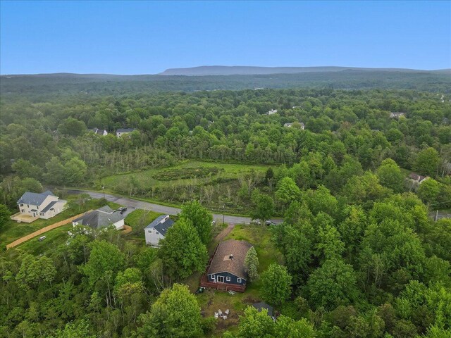 725 Clearview Dr, Long Pond, PA 18334 - bird's eye view of a forest