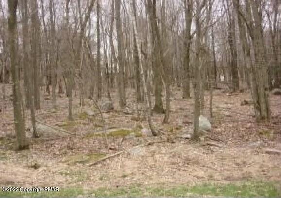 51 Birch, Blakeslee PA, 18610 land for sale