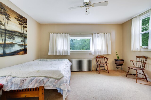 5245 Glenbrook Rd, Stroudsburg, PA 18360 - bedroom with radiator heating unit and carpet floors