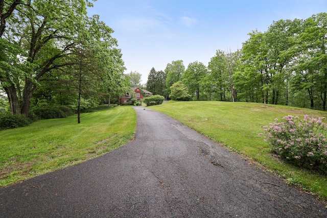 5245 Glenbrook Rd, Stroudsburg, PA 18360 - view of asphalt driveway