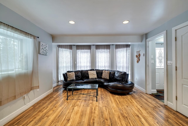 982 Long Ridge Rd, Hawley, PA 18428 - living room featuring a wealth of natural light, baseboards, and wood finished floors