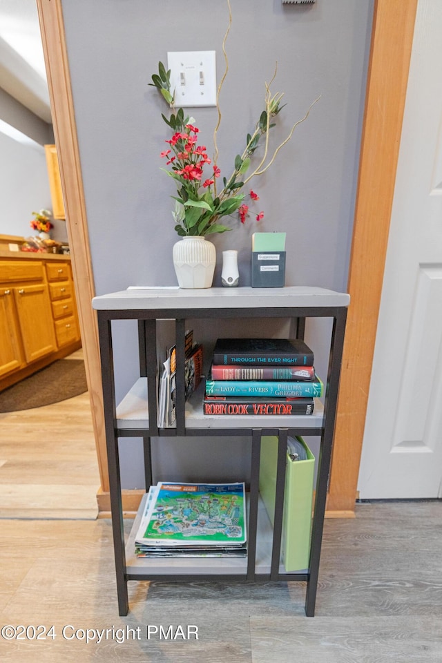 details featuring wood finished floors