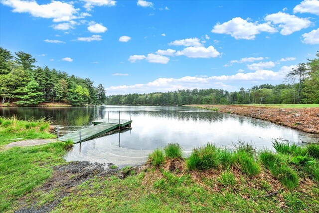 146 Bernadette Dr, Dingmans Ferry, PA 18328 - dock area featuring a forest view and a water view
