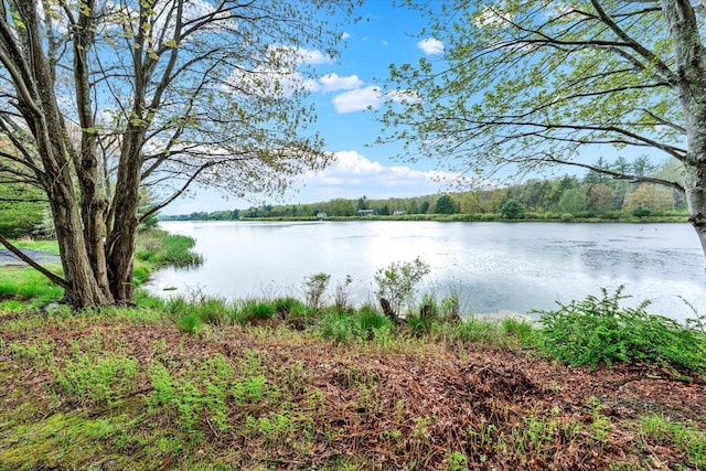 146 Bernadette Dr, Dingmans Ferry, PA 18328 - water view with a forest