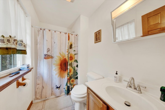 146 Bernadette Dr, Dingmans Ferry, PA 18328 - bathroom with toilet, vanity, curtained shower, and healthy amount of natural light