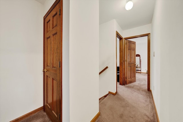 146 Bernadette Dr, Dingmans Ferry, PA 18328 - hall with light carpet, an upstairs landing, and baseboards