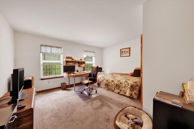 146 Bernadette Dr, Dingmans Ferry, PA 18328 - bedroom with an office area, carpet floors, and baseboards