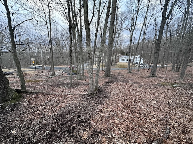 Listing photo 3 for LOT408 Mohican Rd, East Stroudsburg PA 18302