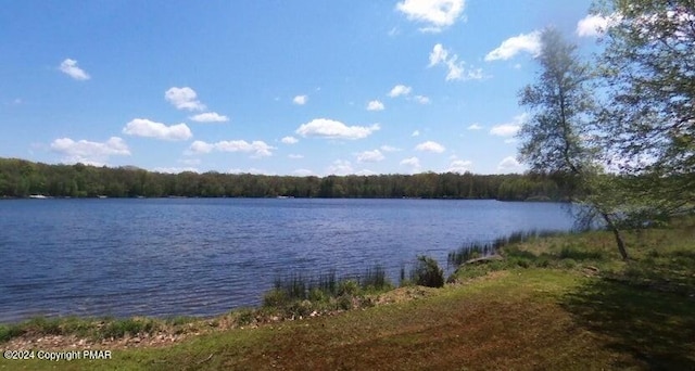 view of water feature featuring a view of trees