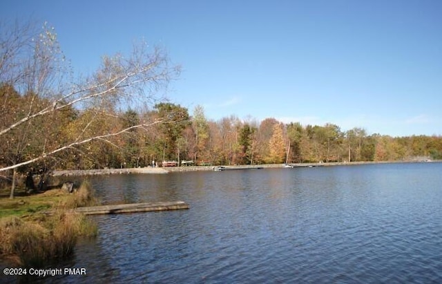 water view featuring a view of trees