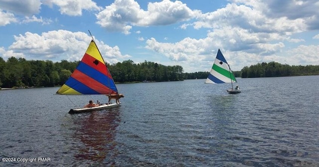 property view of water featuring a wooded view