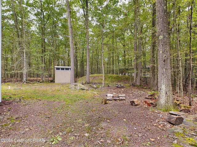 view of yard with a storage unit and an outdoor structure