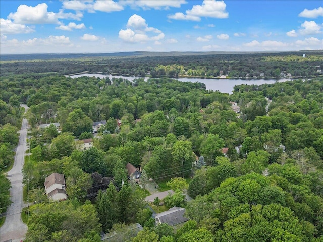 4580 Briarcliff Ter, Tobyhanna, PA 18466 - bird's eye view of a forest and a large body of water