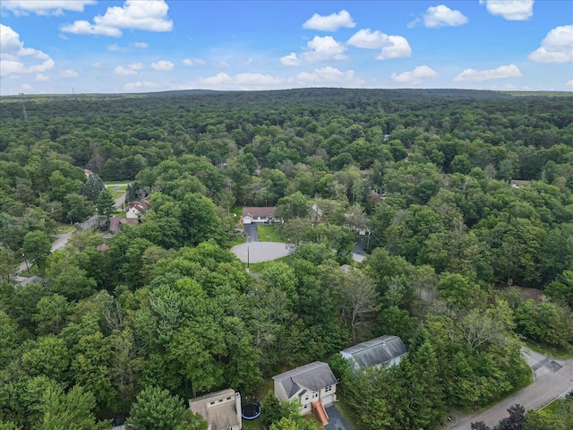 4580 Briarcliff Ter, Tobyhanna, PA 18466 - bird's eye view of a heavily wooded area