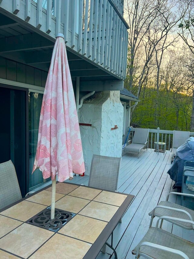 1125 Porter Dr, Bushkill, PA 18324 - photo 28