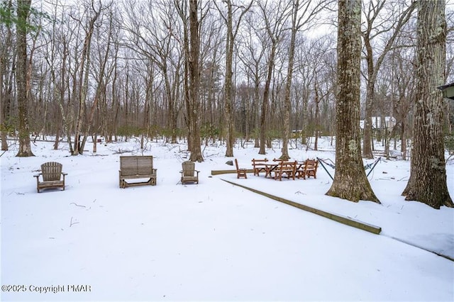 view of yard layered in snow