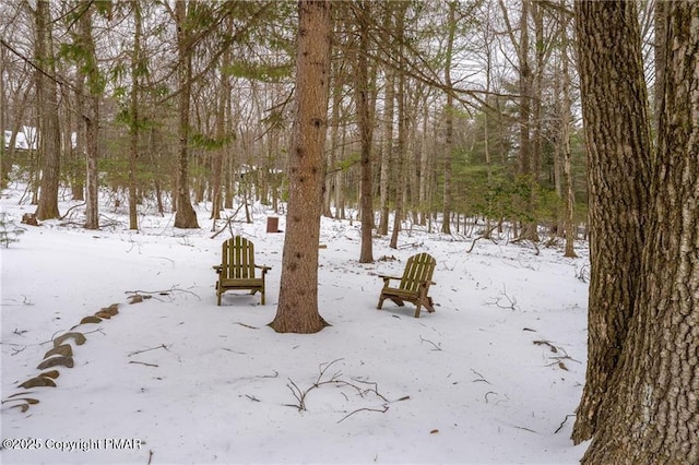 view of snowy yard