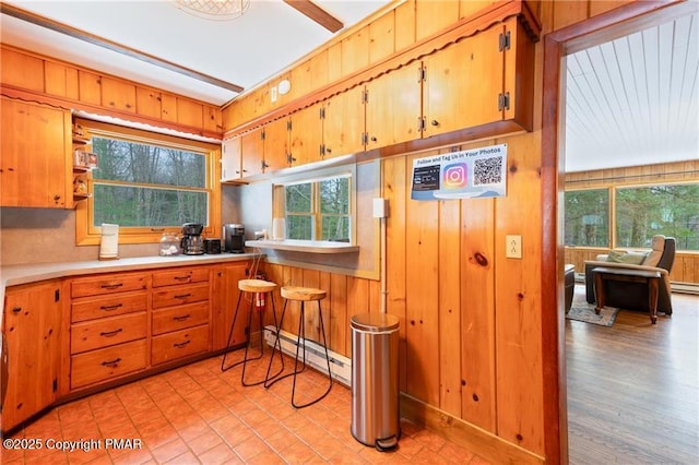 kitchen with a baseboard heating unit, wooden walls, and a wealth of natural light