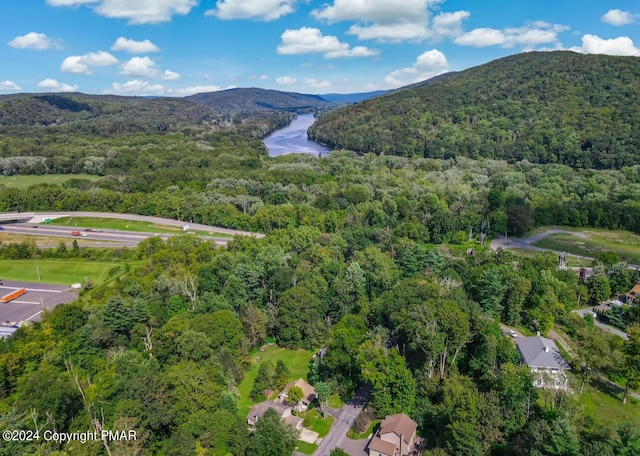 7714 Cherry Valley Rd, Delaware Water Gap, PA 18327 - bird's eye view with a forest view and a water and mountain view