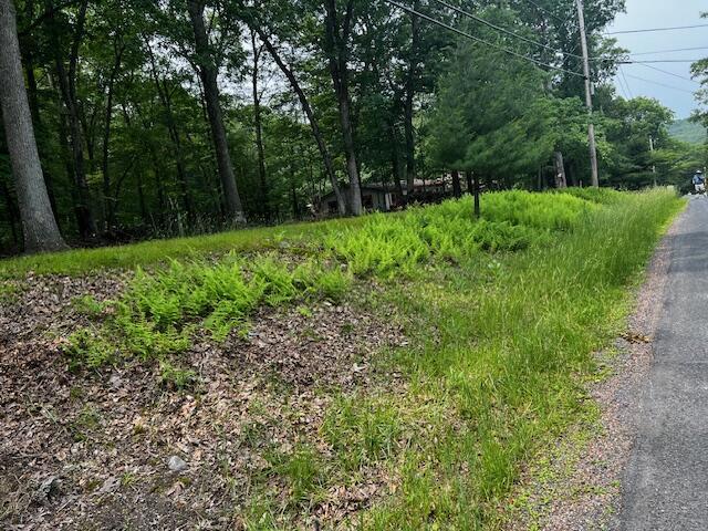 83 Park Dr, East Stroudsburg, PA 18302 - photo 8