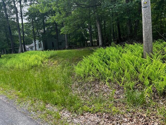83 Park Dr, East Stroudsburg, PA 18302 - photo 7