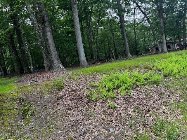 83 Park Dr, East Stroudsburg, PA 18302 - photo 2