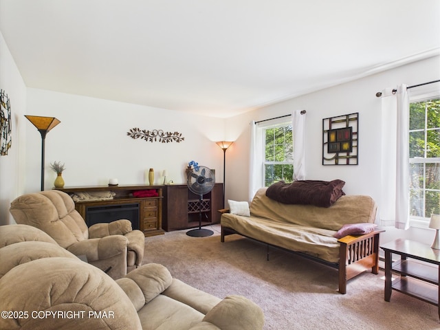 4155 Falcon Ter, Tobyhanna, PA 18466 - photo 10