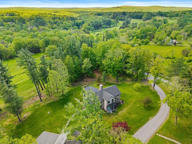 5106 Beattys Cir, Buck Hill Falls, PA 18323 - aerial view of property and surrounding area with a forest