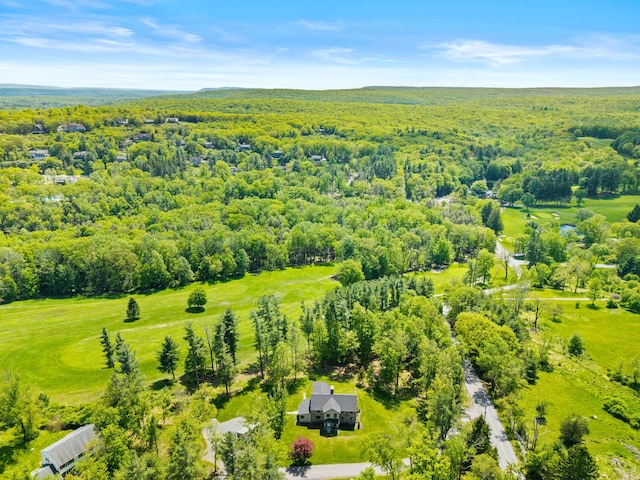 5106 Beattys Cir, Buck Hill Falls, PA 18323 - drone / aerial view of a heavily wooded area